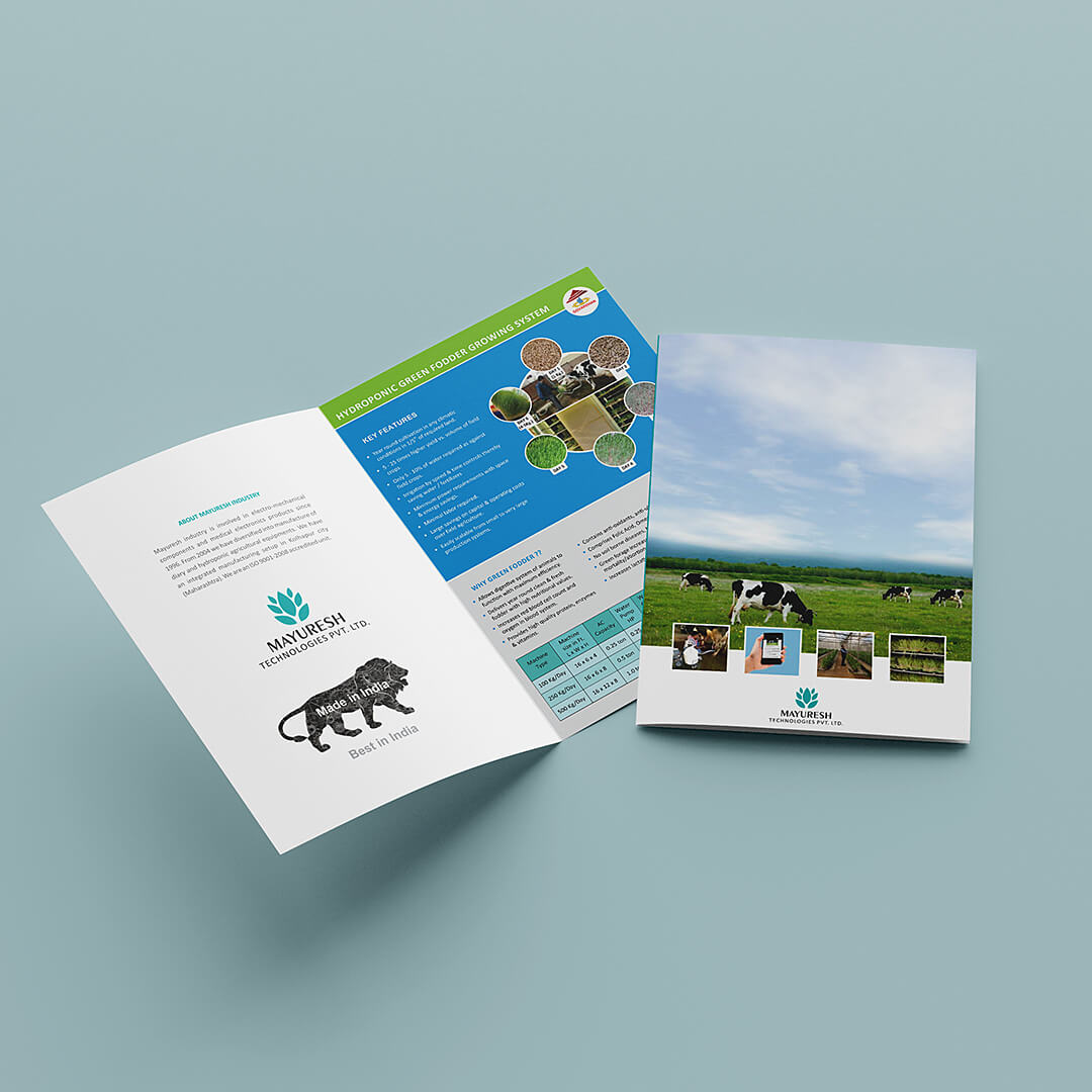 Economy Brochures